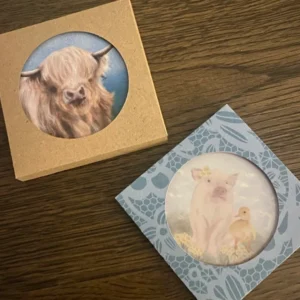 Coaster Boxes